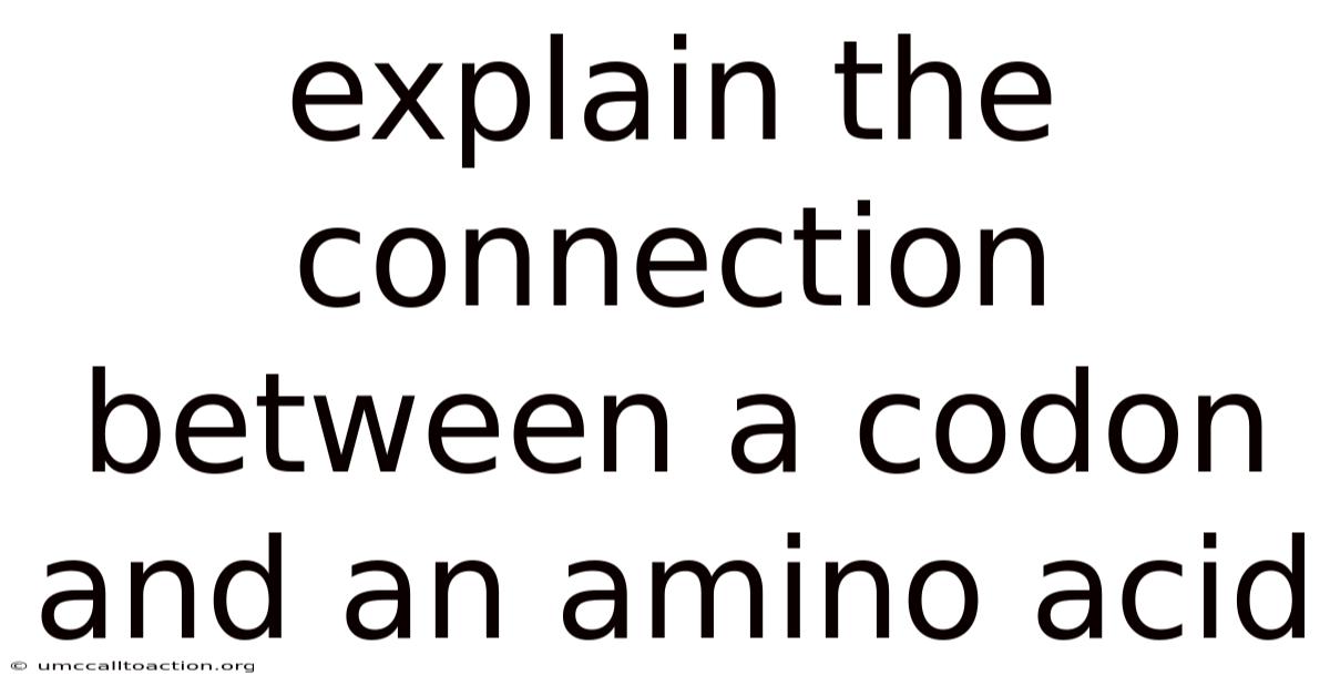 Explain The Connection Between A Codon And An Amino Acid