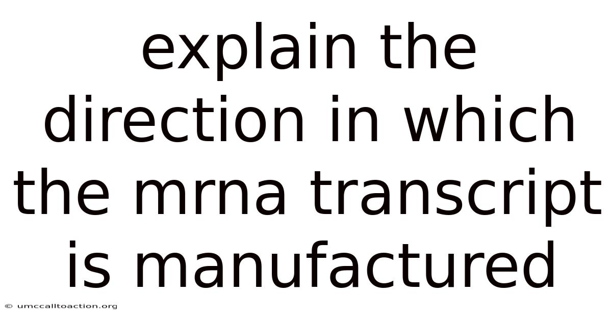 Explain The Direction In Which The Mrna Transcript Is Manufactured