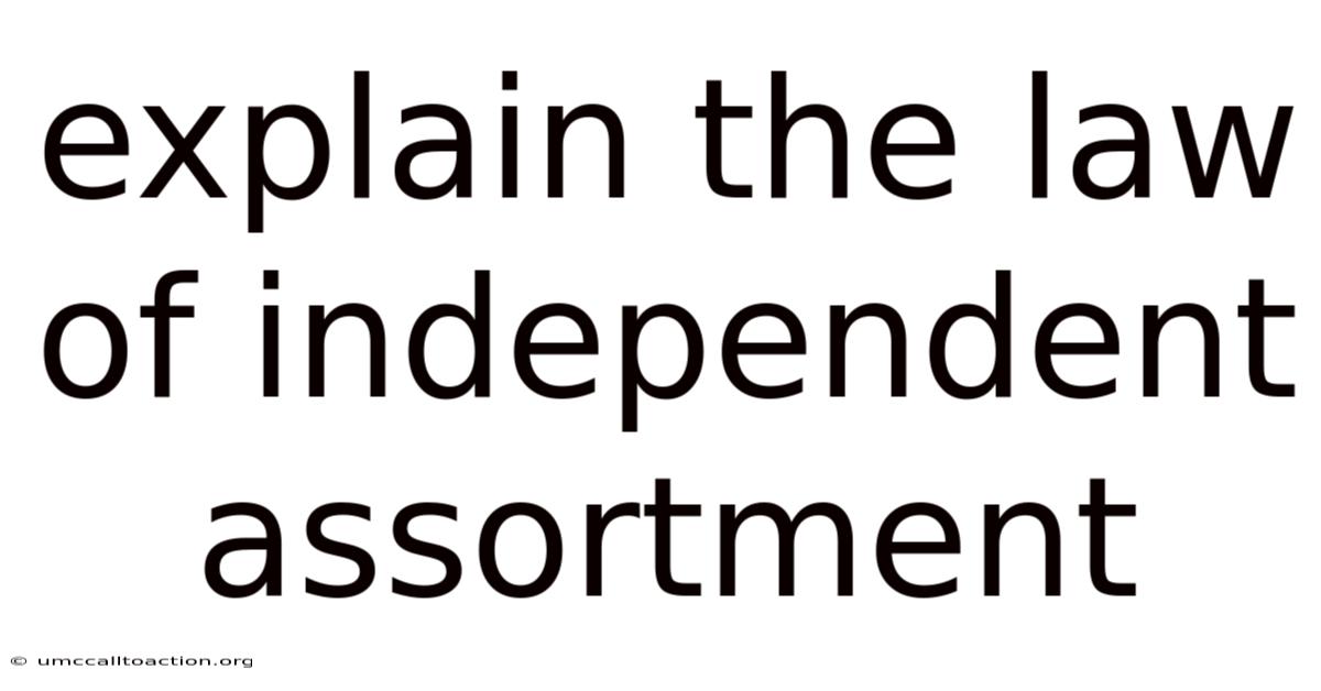 Explain The Law Of Independent Assortment