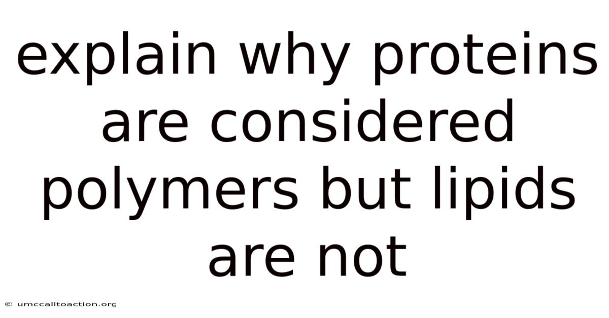 Explain Why Proteins Are Considered Polymers But Lipids Are Not