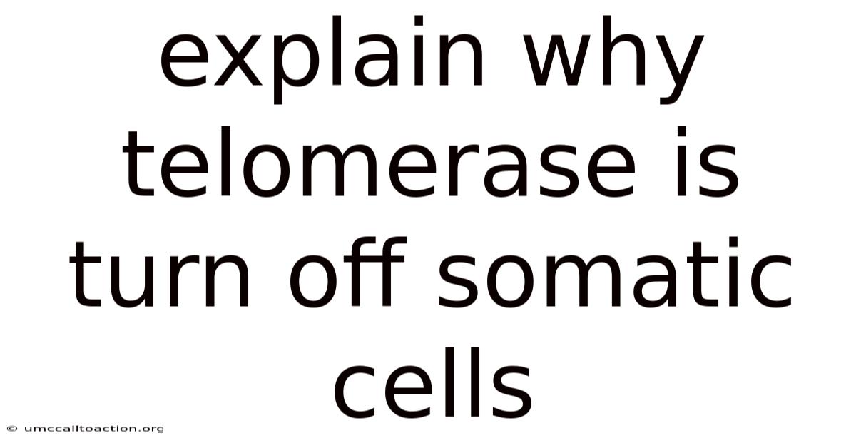 Explain Why Telomerase Is Turn Off Somatic Cells