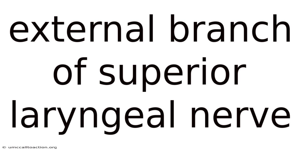 External Branch Of Superior Laryngeal Nerve