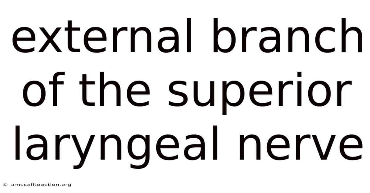 External Branch Of The Superior Laryngeal Nerve