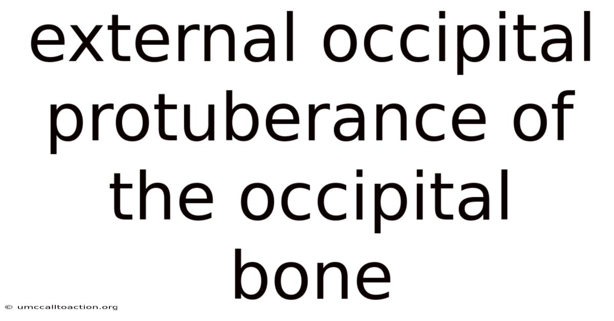External Occipital Protuberance Of The Occipital Bone