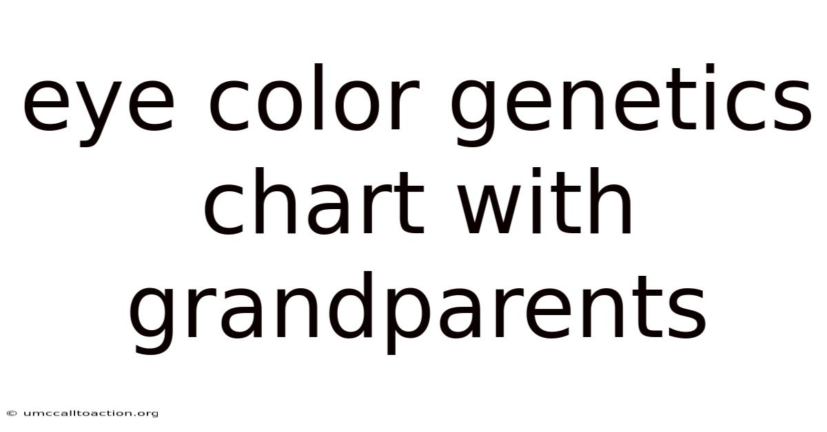 Eye Color Genetics Chart With Grandparents