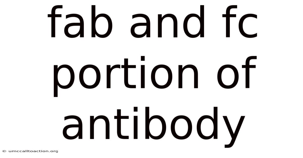 Fab And Fc Portion Of Antibody
