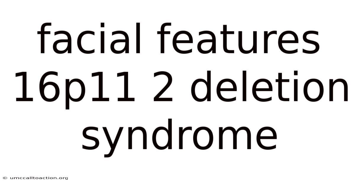 Facial Features 16p11 2 Deletion Syndrome