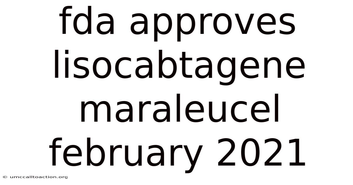 Fda Approves Lisocabtagene Maraleucel February 2021