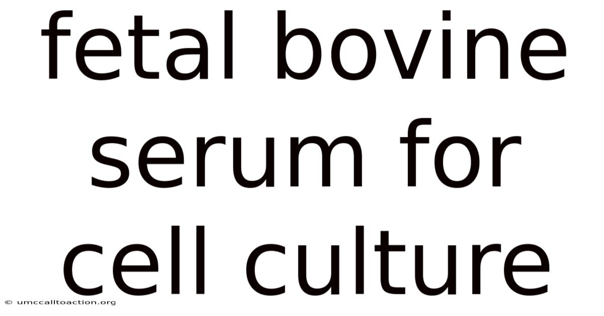 Fetal Bovine Serum For Cell Culture