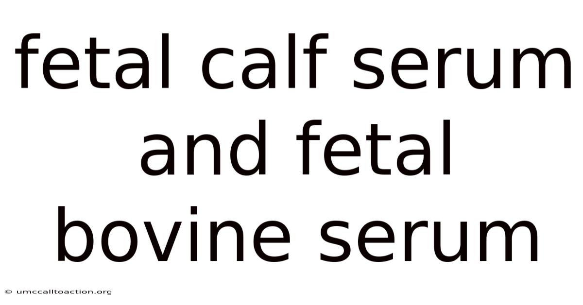 Fetal Calf Serum And Fetal Bovine Serum