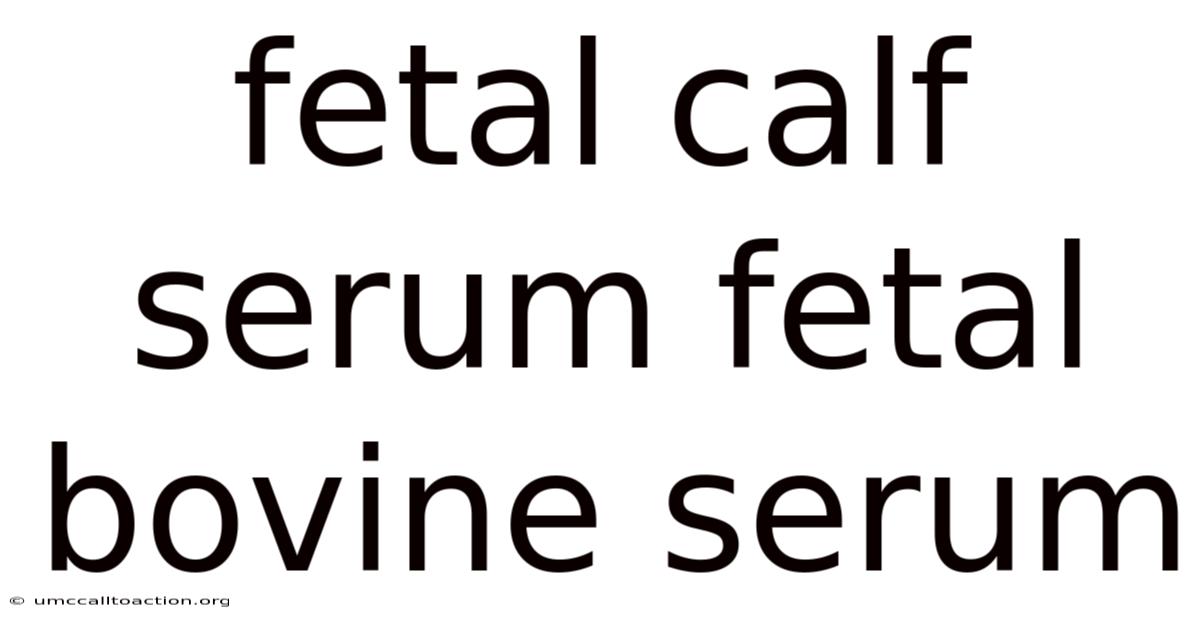 Fetal Calf Serum Fetal Bovine Serum