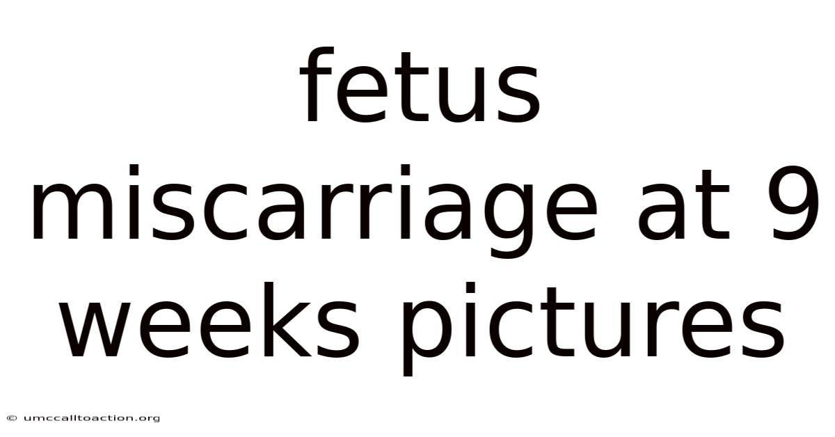 Fetus Miscarriage At 9 Weeks Pictures
