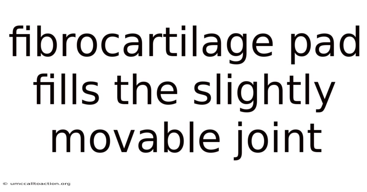 Fibrocartilage Pad Fills The Slightly Movable Joint