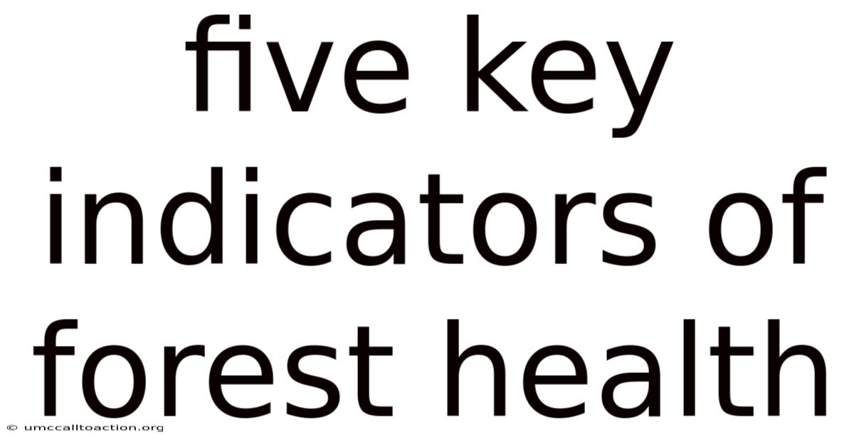 Five Key Indicators Of Forest Health