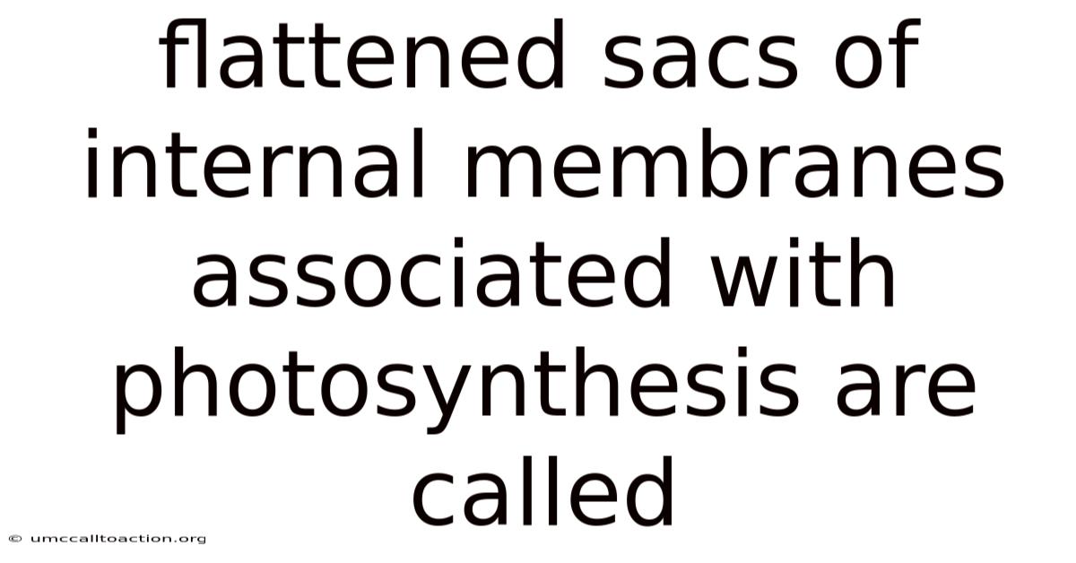 Flattened Sacs Of Internal Membranes Associated With Photosynthesis Are Called