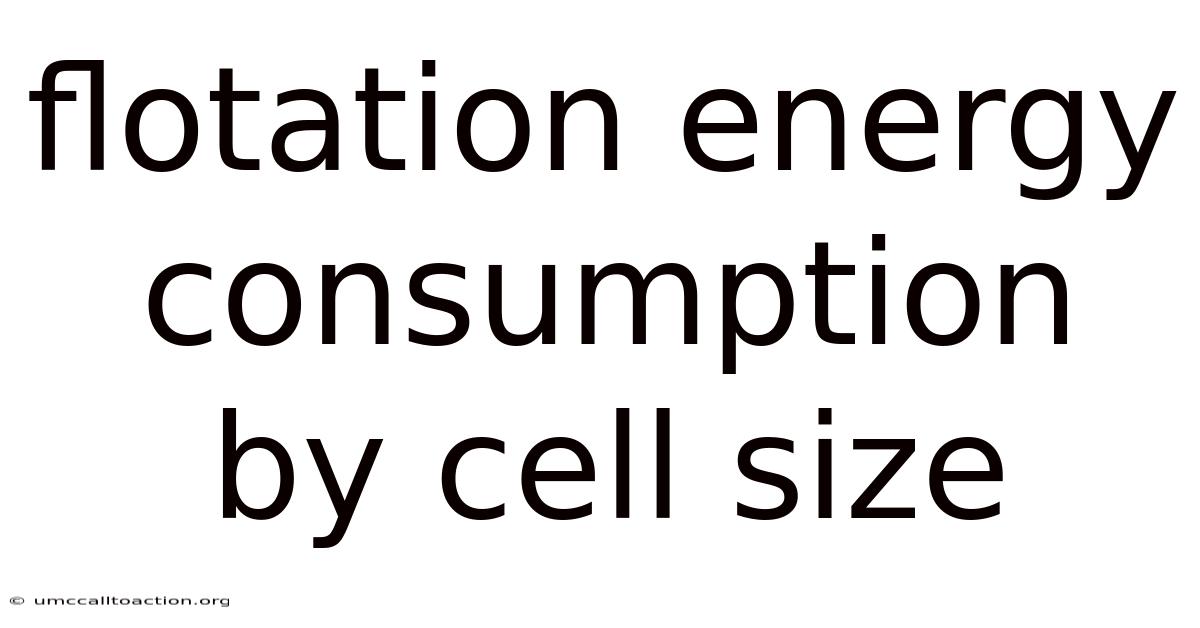 Flotation Energy Consumption By Cell Size