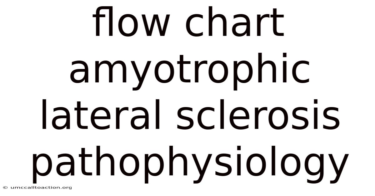Flow Chart Amyotrophic Lateral Sclerosis Pathophysiology