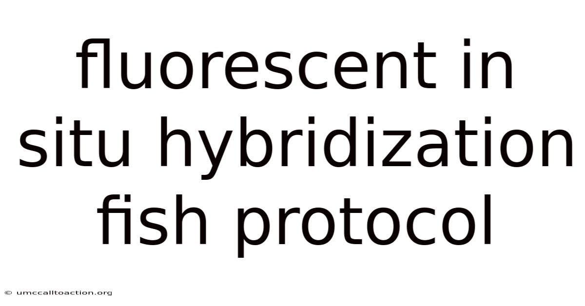 Fluorescent In Situ Hybridization Fish Protocol