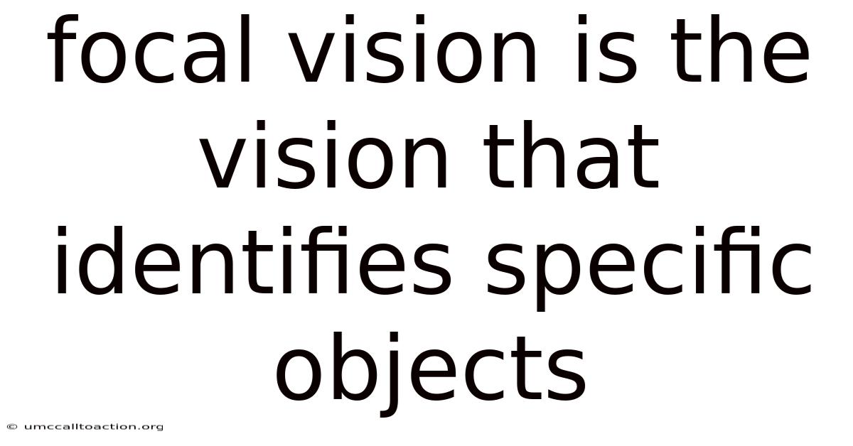 Focal Vision Is The Vision That Identifies Specific Objects