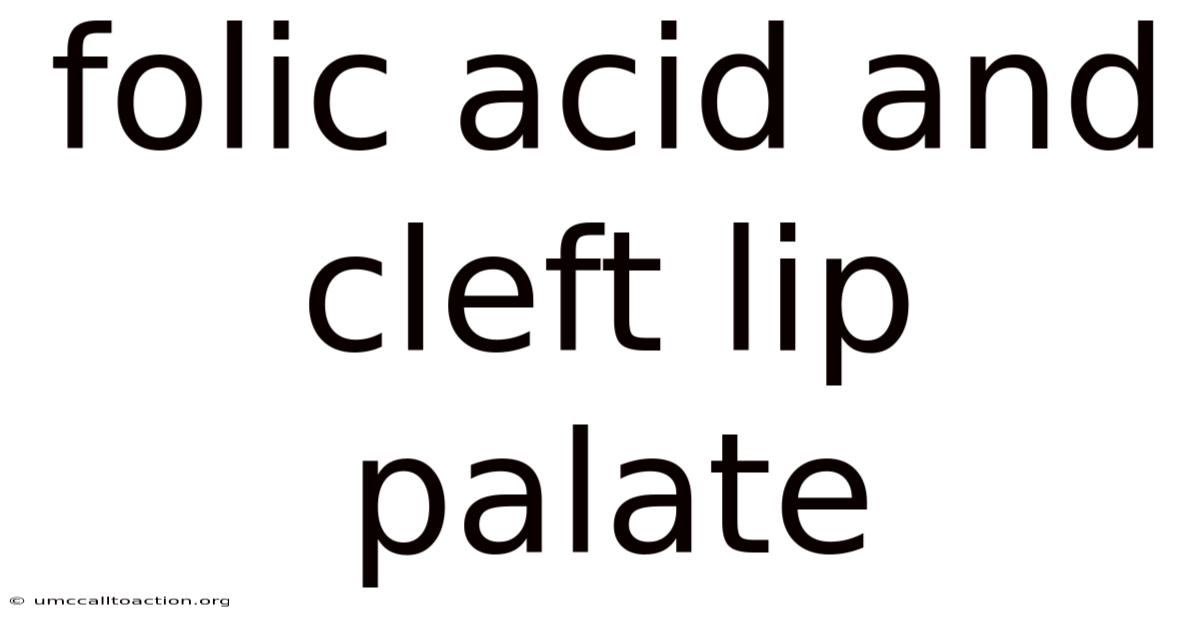 Folic Acid And Cleft Lip Palate