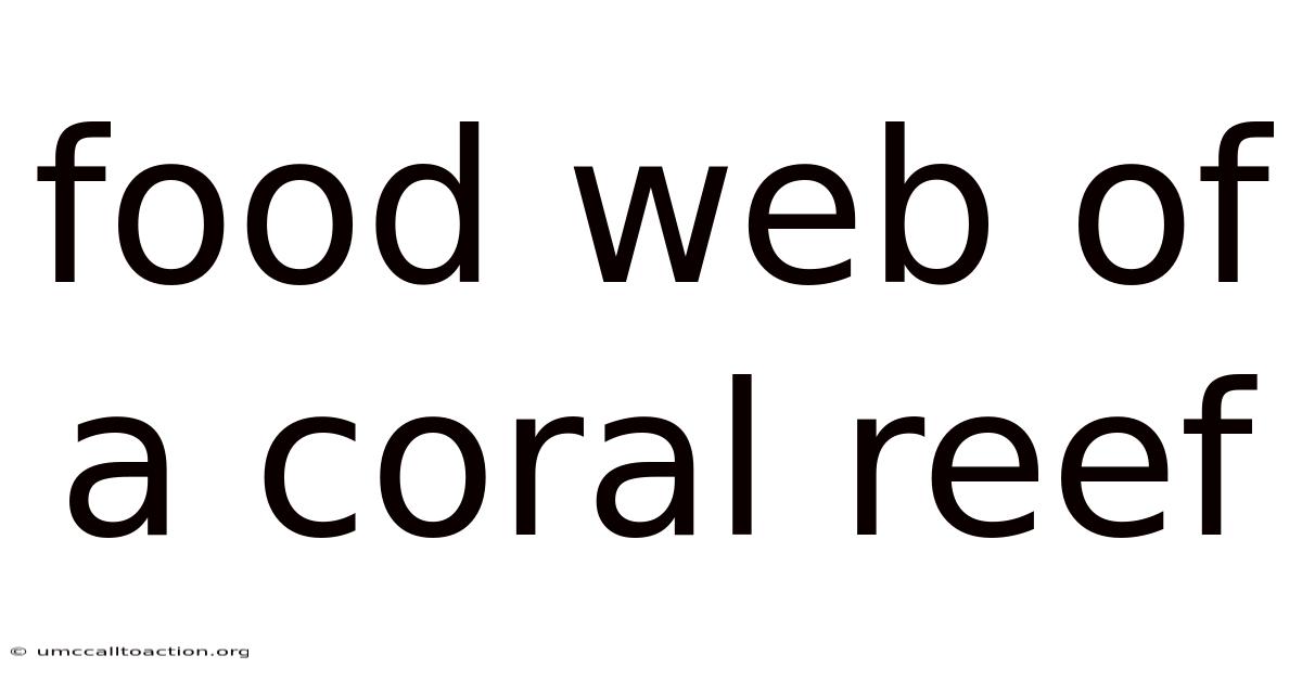 Food Web Of A Coral Reef