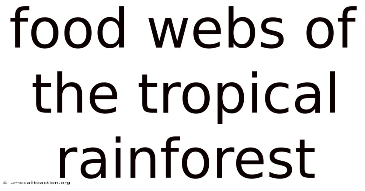 Food Webs Of The Tropical Rainforest
