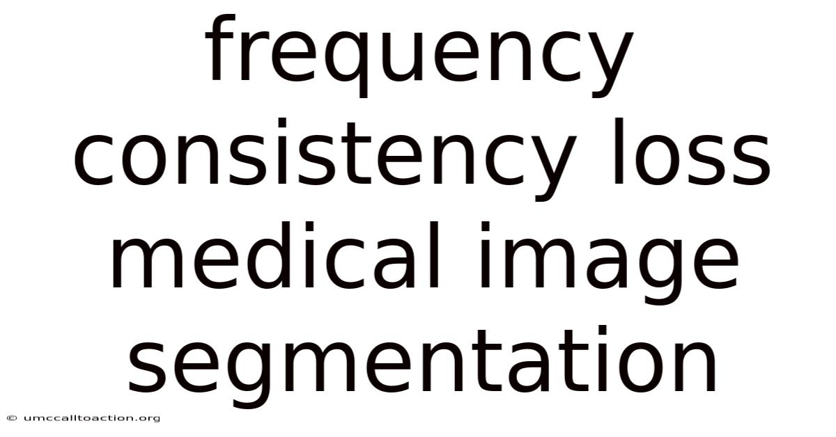 Frequency Consistency Loss Medical Image Segmentation