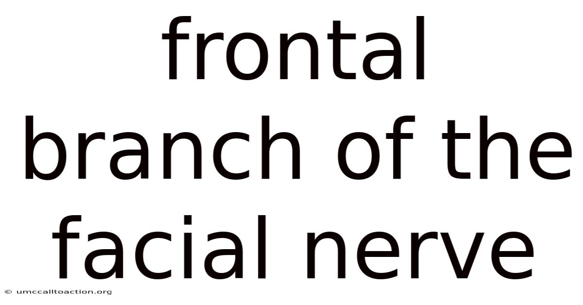 Frontal Branch Of The Facial Nerve