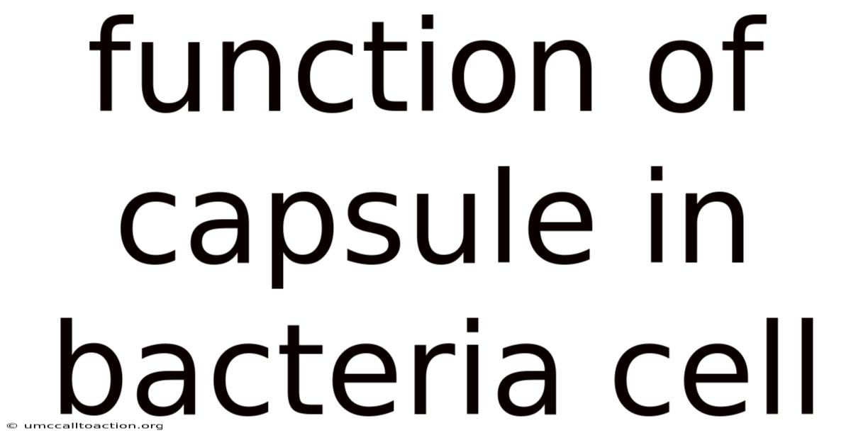 Function Of Capsule In Bacteria Cell