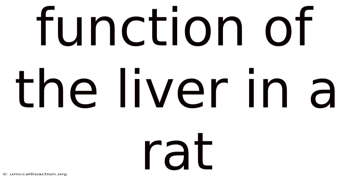 Function Of The Liver In A Rat