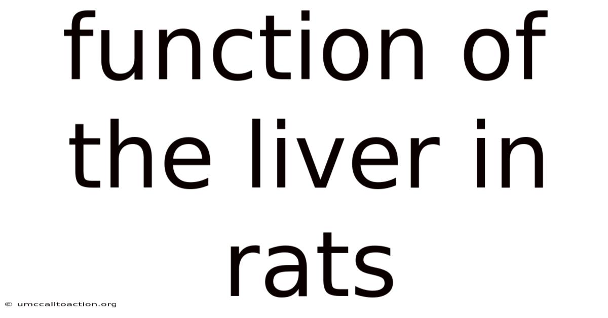 Function Of The Liver In Rats