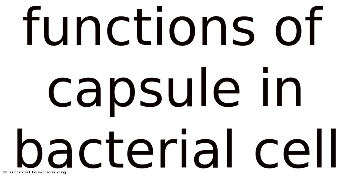 Functions Of Capsule In Bacterial Cell