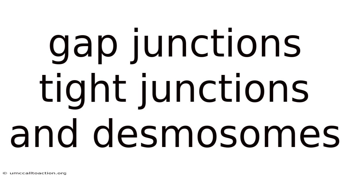 Gap Junctions Tight Junctions And Desmosomes