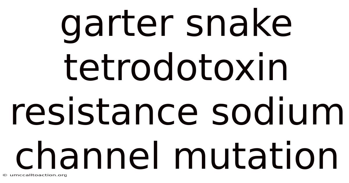 Garter Snake Tetrodotoxin Resistance Sodium Channel Mutation