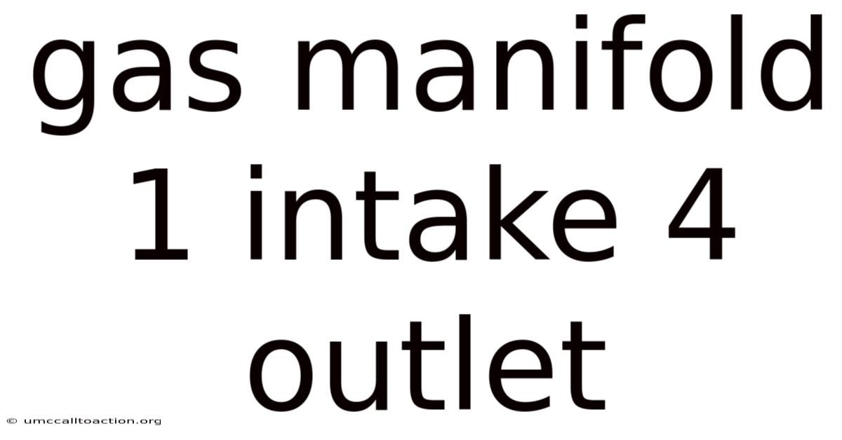 Gas Manifold 1 Intake 4 Outlet