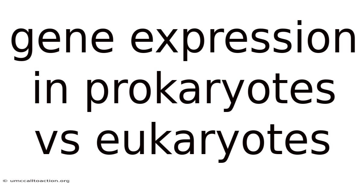 Gene Expression In Prokaryotes Vs Eukaryotes