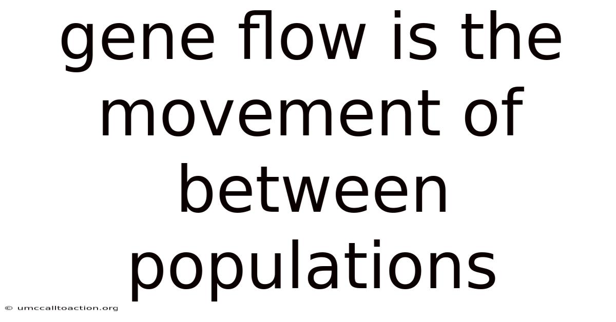 Gene Flow Is The Movement Of Between Populations