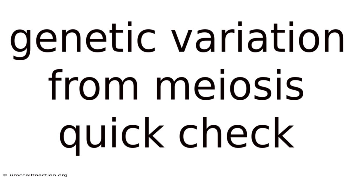 Genetic Variation From Meiosis Quick Check