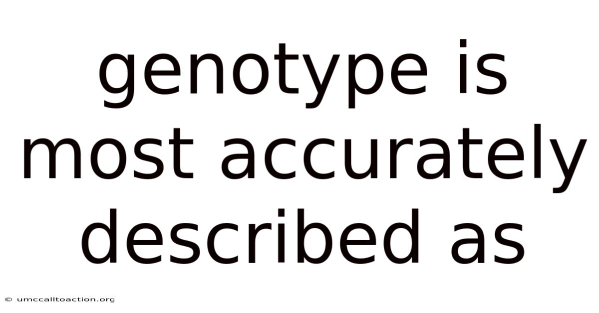 Genotype Is Most Accurately Described As