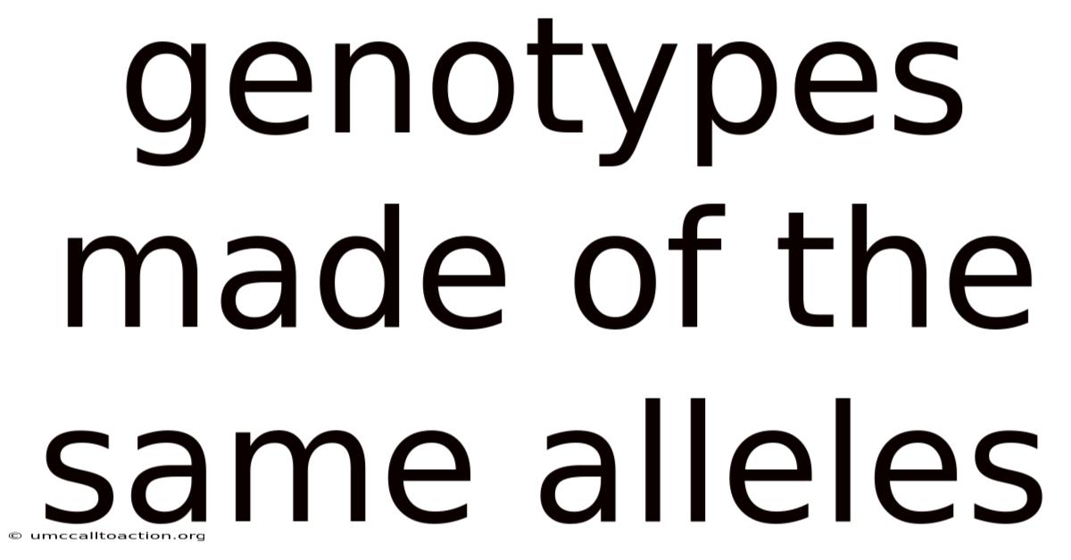 Genotypes Made Of The Same Alleles