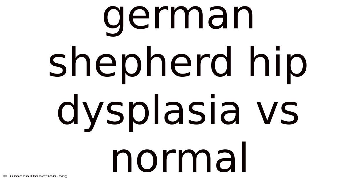 German Shepherd Hip Dysplasia Vs Normal