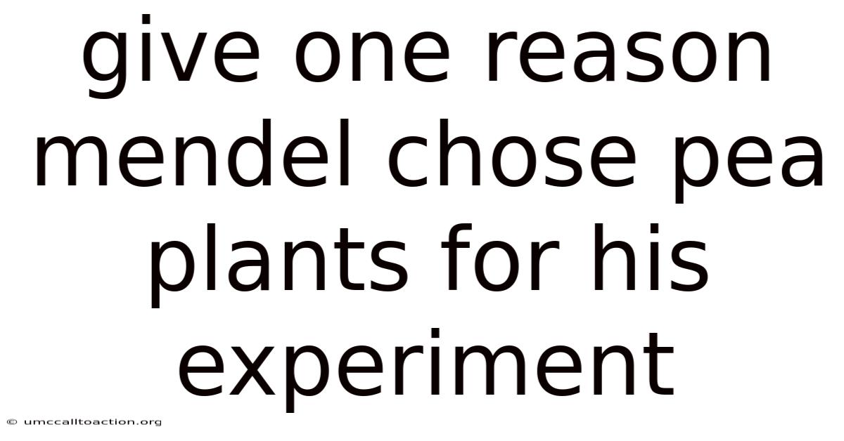 Give One Reason Mendel Chose Pea Plants For His Experiment