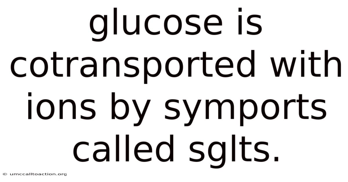 Glucose Is Cotransported With Ions By Symports Called Sglts.