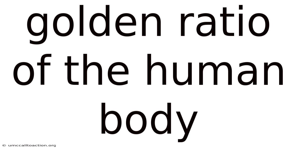 Golden Ratio Of The Human Body