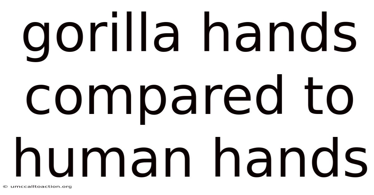 Gorilla Hands Compared To Human Hands