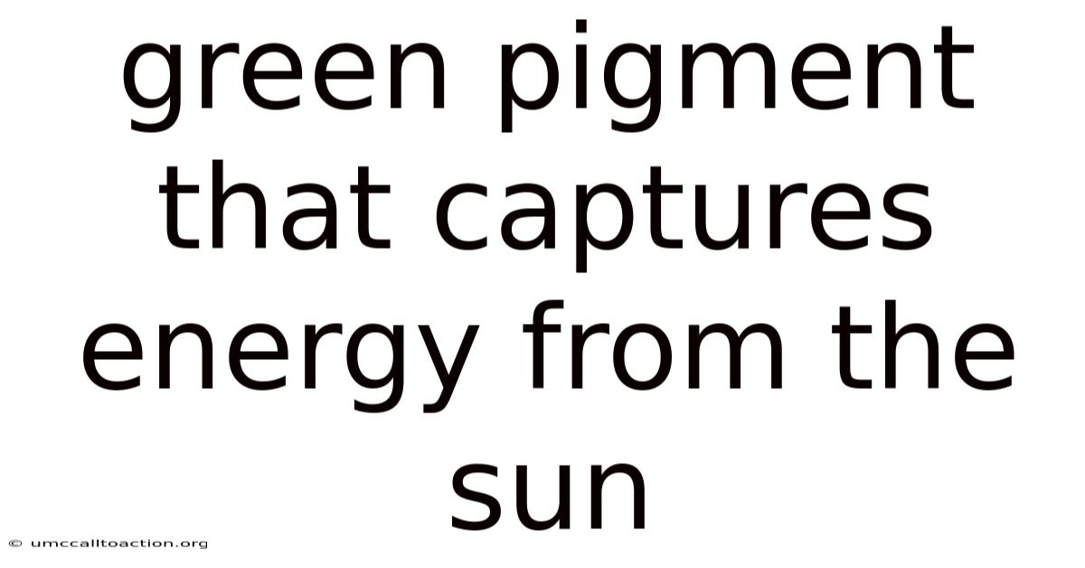 Green Pigment That Captures Energy From The Sun