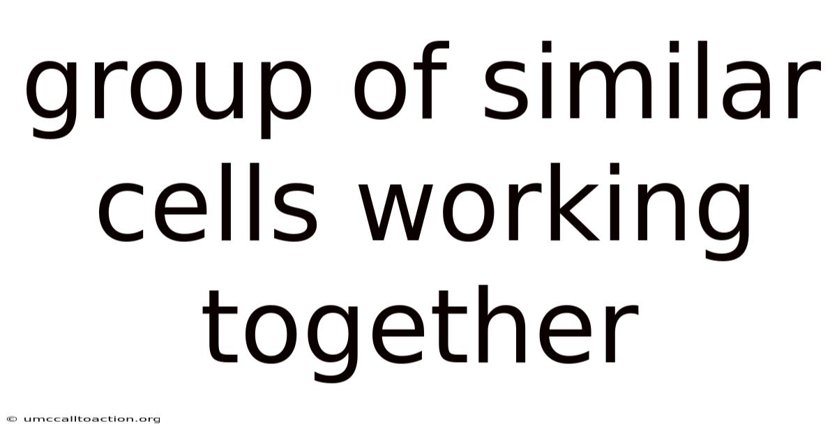 Group Of Similar Cells Working Together