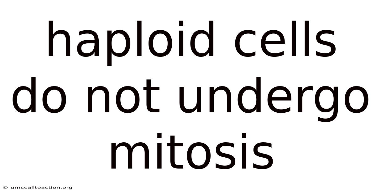 Haploid Cells Do Not Undergo Mitosis