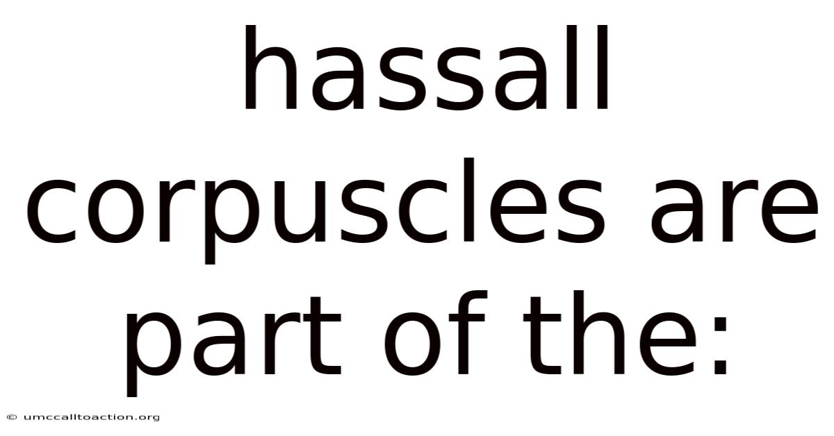 Hassall Corpuscles Are Part Of The:
