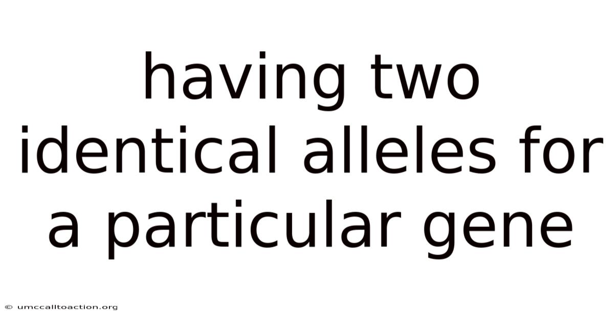 Having Two Identical Alleles For A Particular Gene